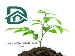 گروه فنی گلخانه سازان رویال سبز