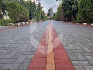 شرکت راسا پوشش ایرانیان در آمل