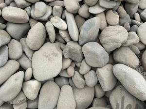 شرکت بنیاد گسترش شمال در رشت