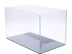 فروشگاه آکواریوم مرجان دریایی