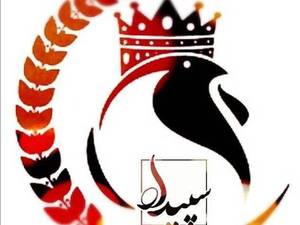 پخش خوراک دام و طیور سپیدار دانه شمال