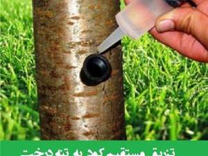 بازرگانی اقلیما در تهران