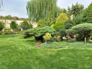 گروه مجری فضای سبز دیپو