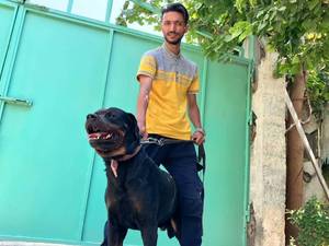 باشگاه پرورش سگ گارد و نگهبان مسترپت