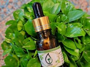 نمایندگی روغن هلکسیر 