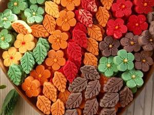 قند و نبات لاکو در رشت