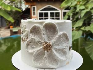 چاشنی کیک در رشت