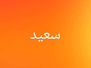 فروشگاه پروتئینی سعید در رودسر