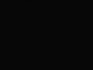 بوتیک تست