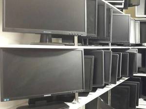 کاکتوس رایانه در نیشابور