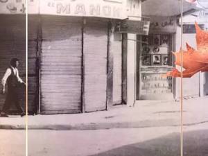 فروشگاه مانون - نمایندگی هاروت در تهران