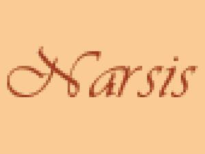 فروشگاه ورزشی نارسیس در تهران