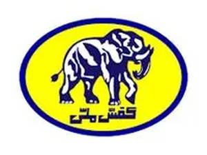 کفش ملی چالدران