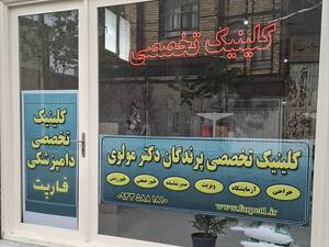 کلینیک تخصصی پرندگان فارپت در تبریز