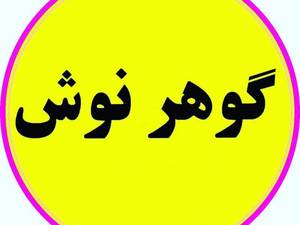 صنایع یخی گوهر نوش در تهران