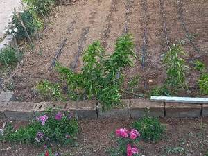 اجاره سوئیت توکلی در گرمه