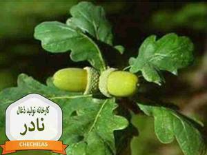 کارخانه تولید ذغال نادر