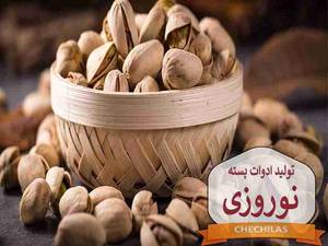 تولید ادوات ضبط پسته نوروزی