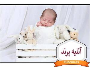 آتلیه پرند در ساری