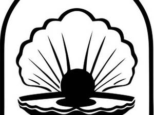 تولیدی کاور لباس فاروجی