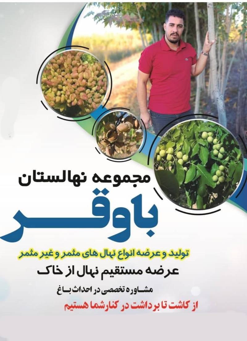 آدا نهالستان در آذربایجان غربی