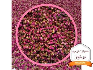 محصولات گیاهی هیواد در شیراز