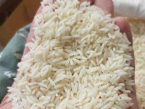 برنج هاشمی فروشگاه برنج فرزاد
