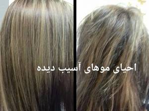 احیای موهای آسیب دیده