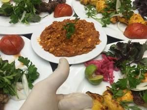 باغ نشین شبستان