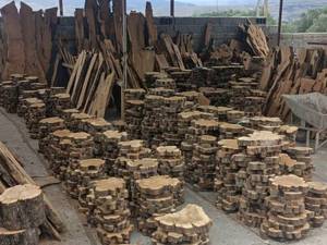 فروش تخصصی چوب زیتون رودبار