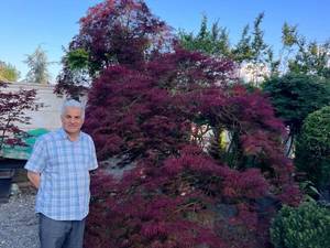 طراحی اجرا پروژه های فضا سبز در ارومیه