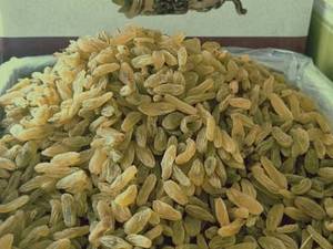 قیمت کشمش سبز آجیلی در تهران