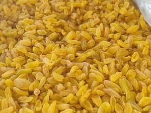 قیمت کشمش سبز آجیلی در تهران