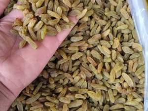 قیمت کشمش سبز آجیلی در تهران