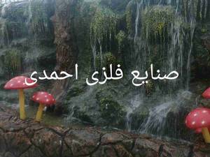 آب نما