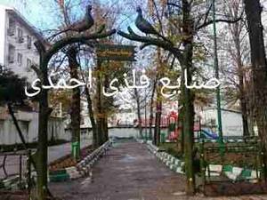 آرگ ورودی