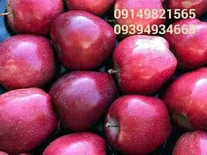 سیب رد لبنانی