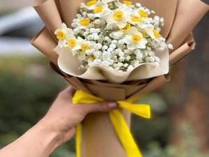دسته گل نرگس و ژیپسوفیلا