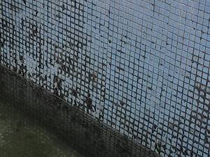 هزینه اسید شویی استخر در رشت