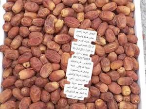 فروش خرما درجه سه زاهدی