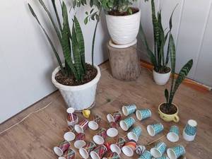 تولید کننده شات قهوه در کرج