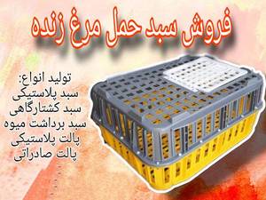 تولید فروش سبد حمل مرغ زنده در قزوین