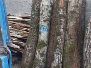 چوب فروشی محمودی در قم