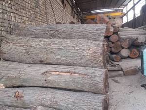 چوب فروشی محمودی در قم