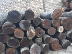 خرید و فروش چوب الوار باغی و جنگلی در قم