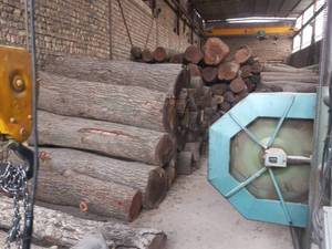 خرید و فروش چوب الوار باغی و جنگلی در قم