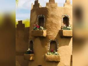 کاهگل کاملا نانو