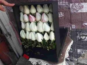 باکس ایستاده کد 414