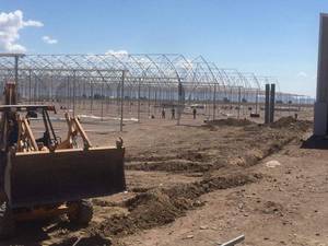 تولید و نصب گلخانه صنعتی در شهریار