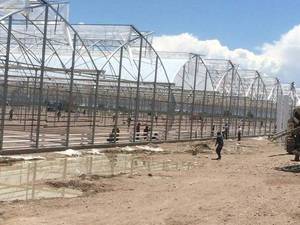 تولید و نصب گلخانه صنعتی در شهریار